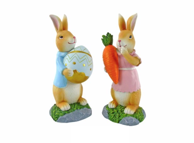 Lapin de Côte d’Ivoire avec œuf