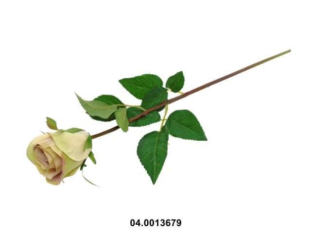 Pied teinté rose violet 60cm