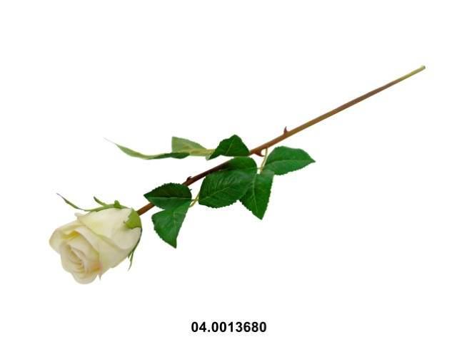 Pied teinté blanc rose 60cm