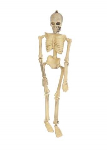 Squelette d’Halloween 45 cm