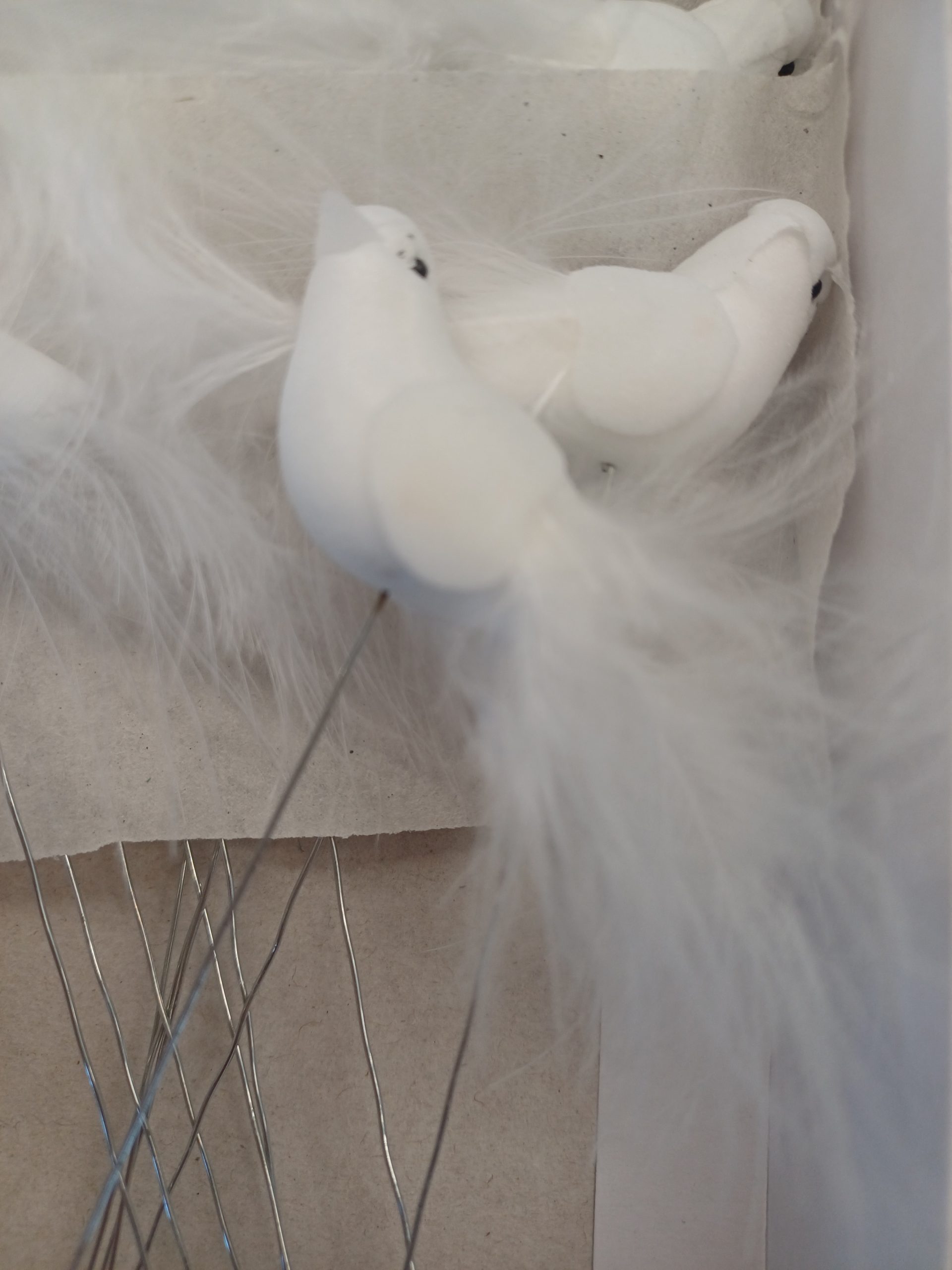 Colombe 6cm boîte 12