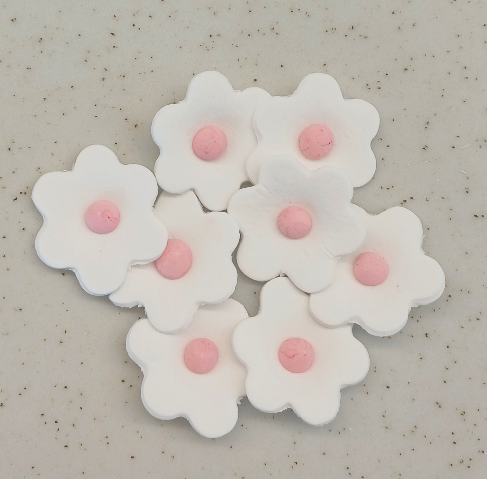 Miosotis Sucre Rose Sc.30