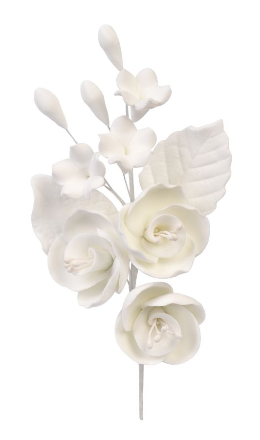 Bouquet de roses Pastilhagem H17