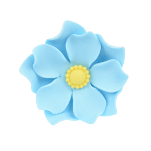 Marguerite d’Afrique Bleu Boîte 36