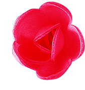 Boîte de 100 mini roses rouges Host