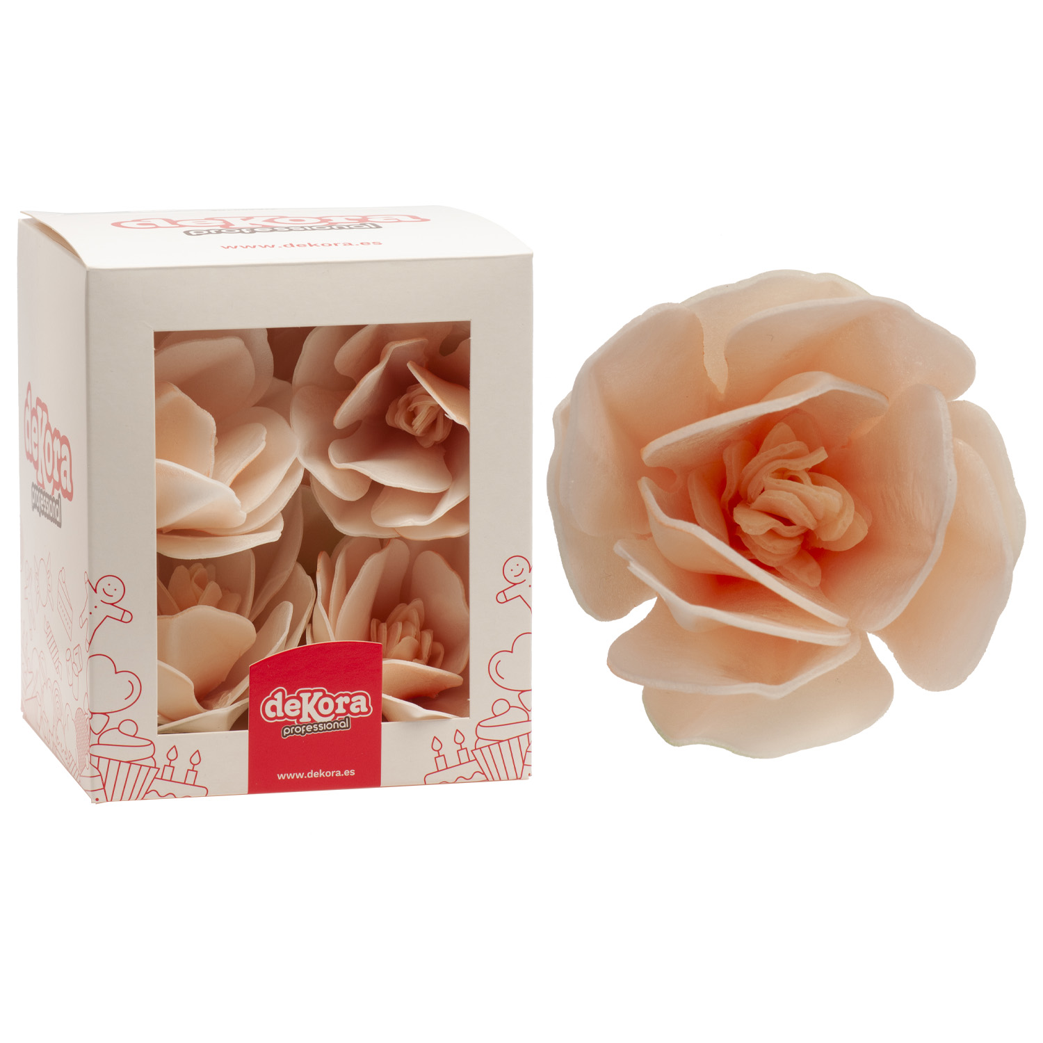Magnolia blanc en Host 6.5cm boîte 6