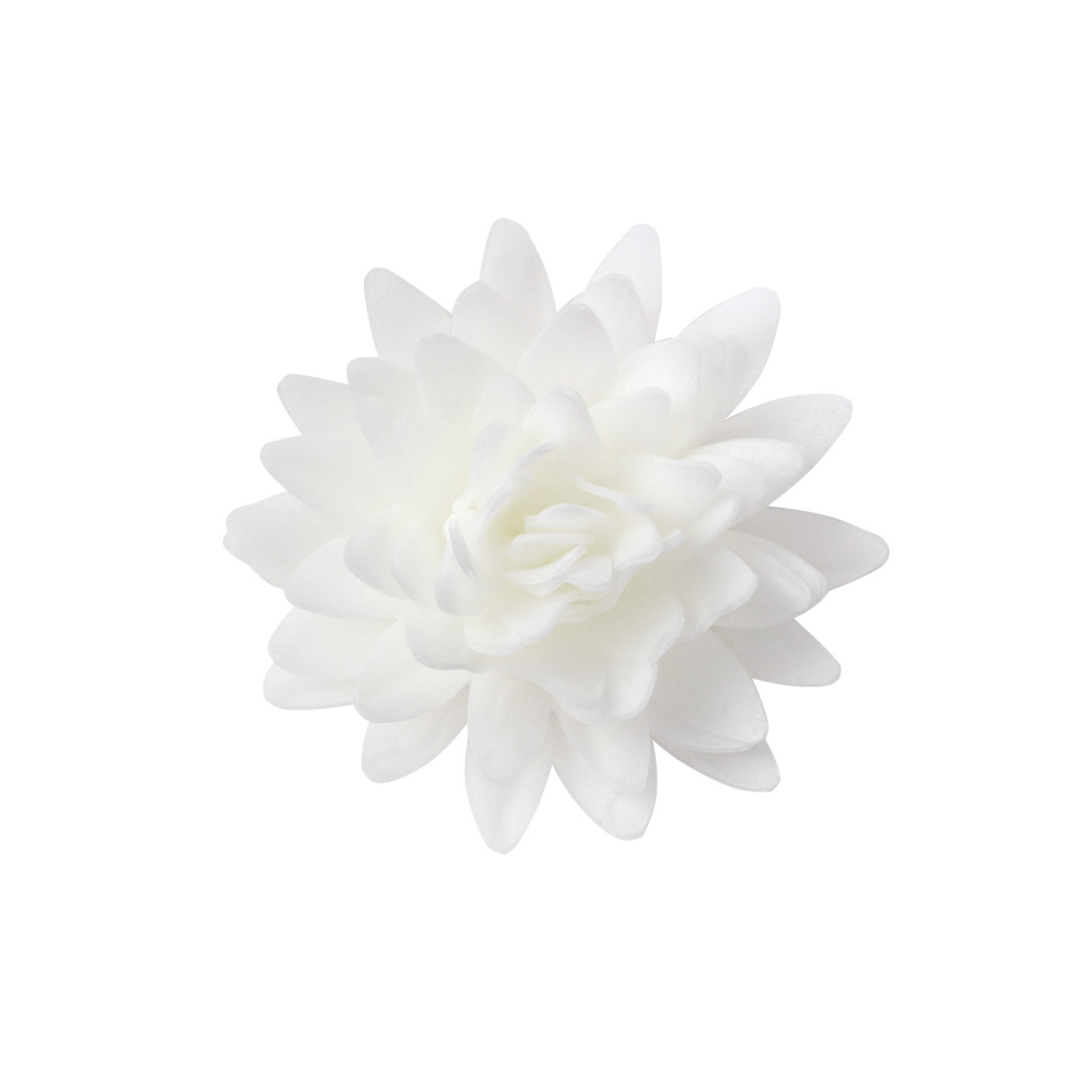 Fleur blanche en gaufrette 5,5cm boîte 18
