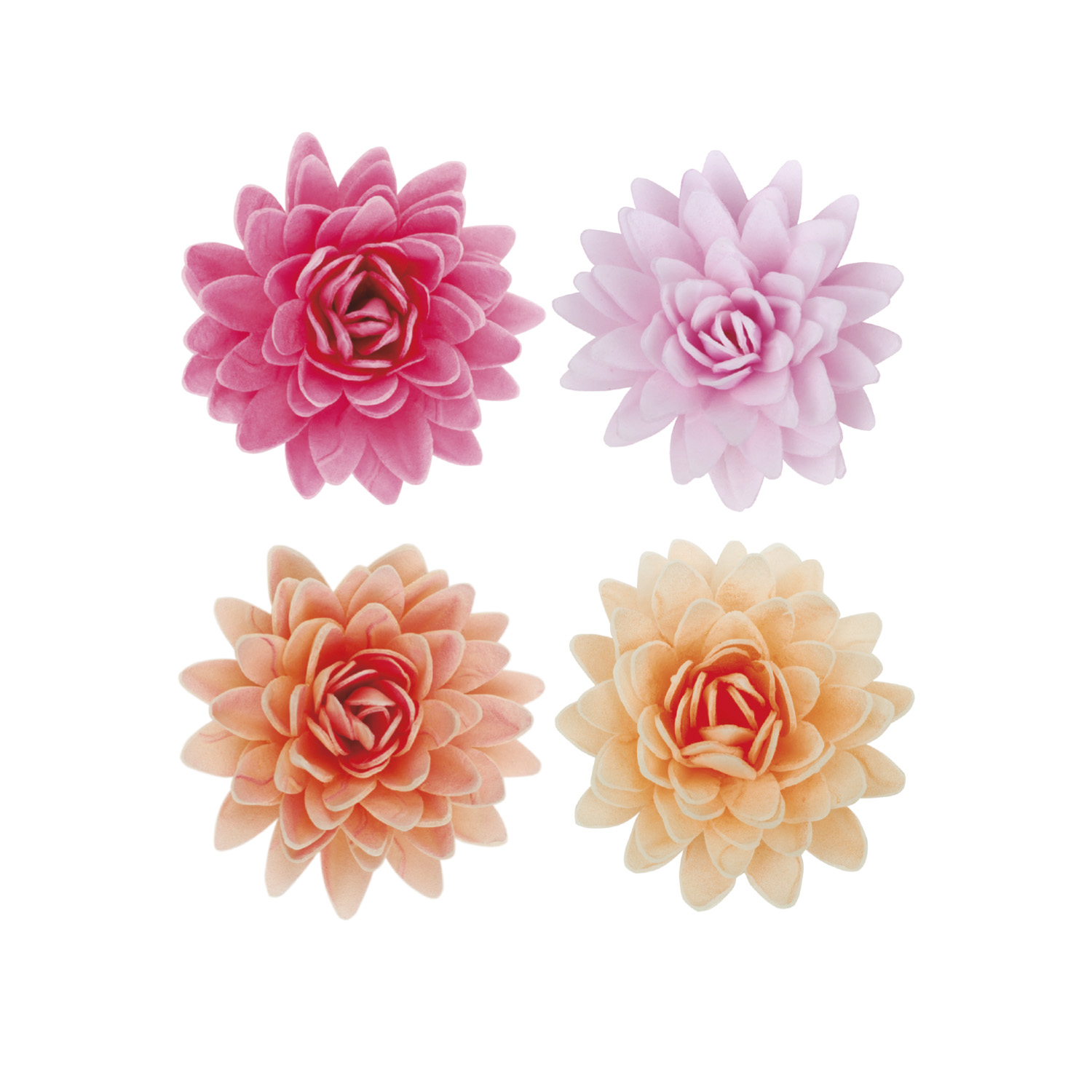 Fleurs assorties dans une boîte de gaufrettes de 5,5cm 18