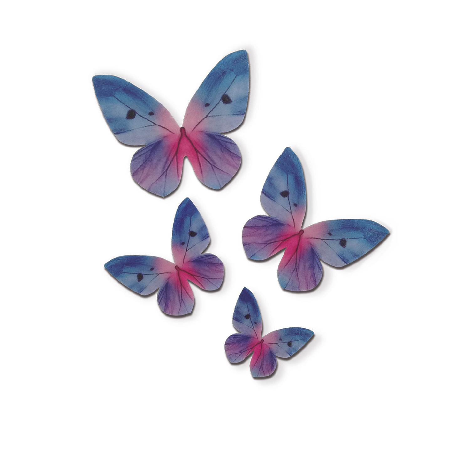 Papillons dans les tons bleus sur boîte à gaufrettes 3-6cm.79