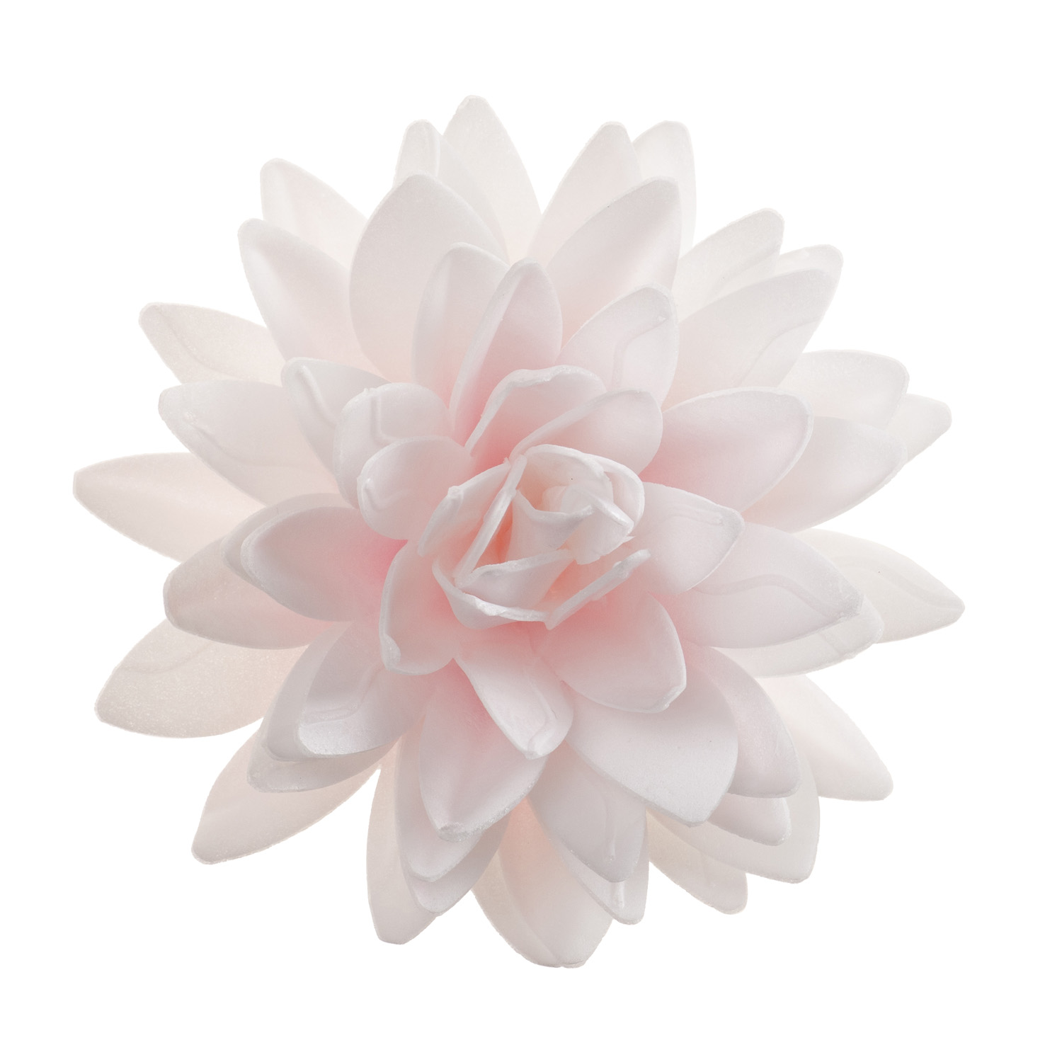Dahlia rose géant 12,5 cm