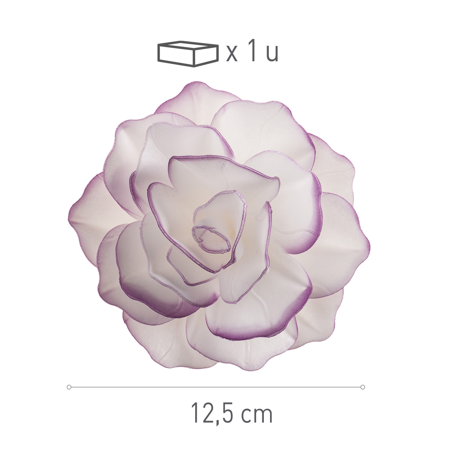 Hostie Rose Blanche Ton Violet 12.5cm