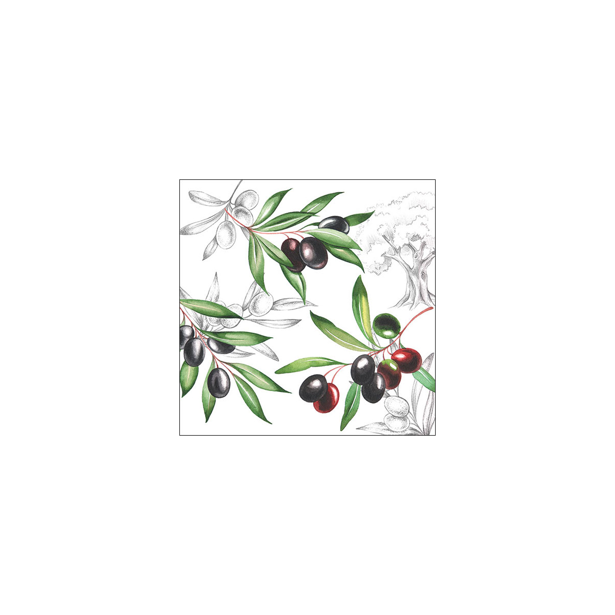 Serviette de table 33xx33cm Olives Emb.20