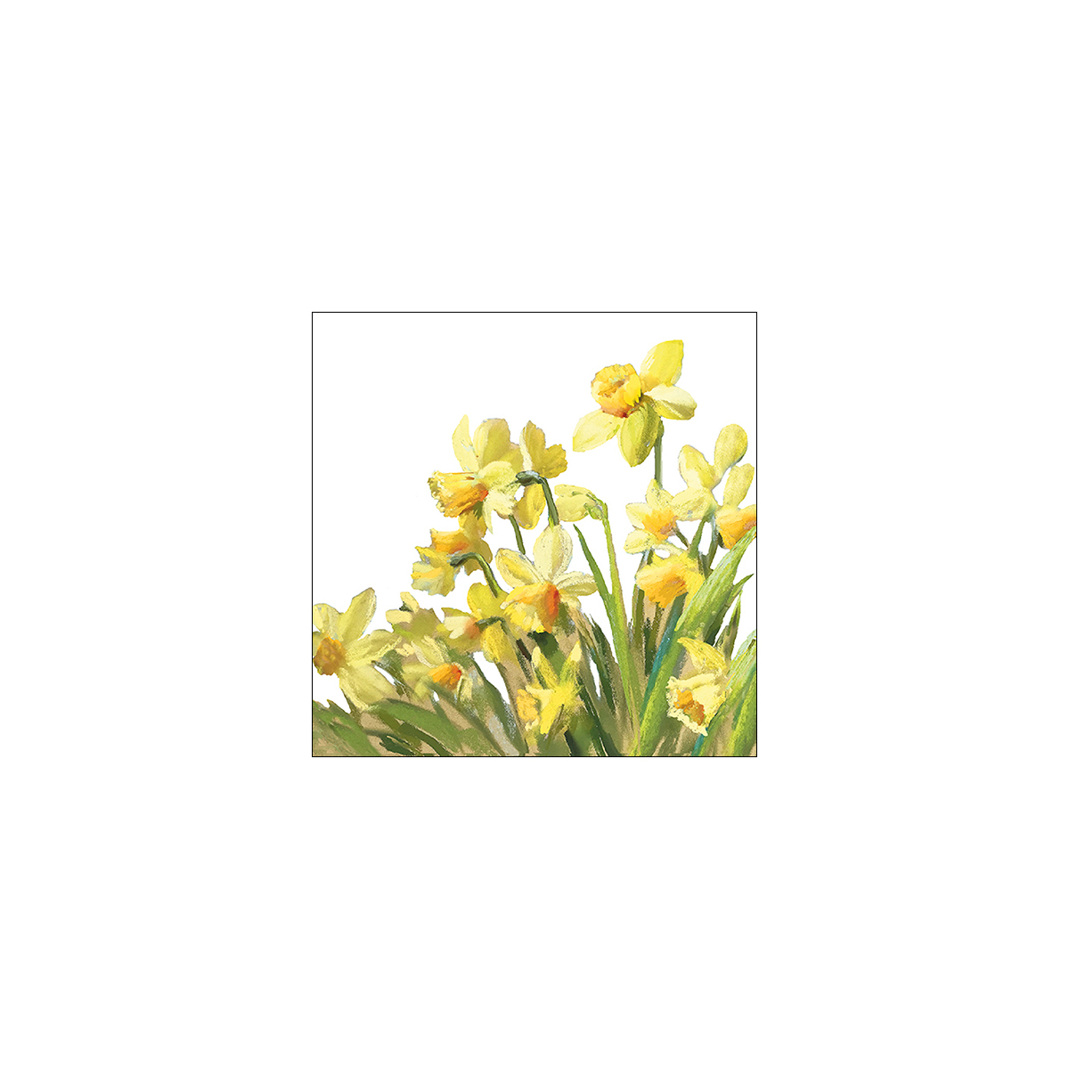 Serviette de table 33xx33cm Narcisse Or Emb.20