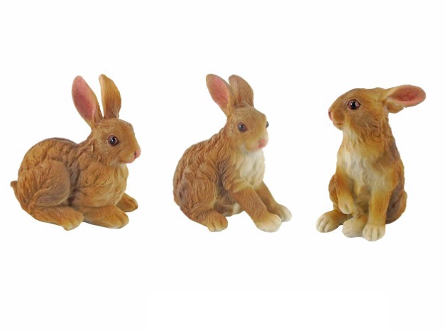 Lapin Marfinite coloré