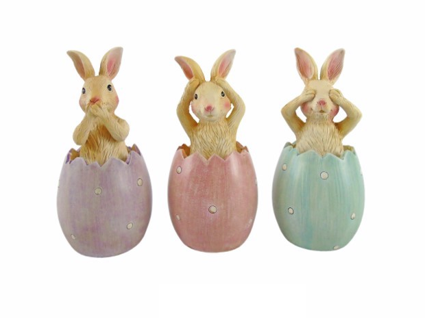 Lapin de Côte d’Ivoire avec œuf