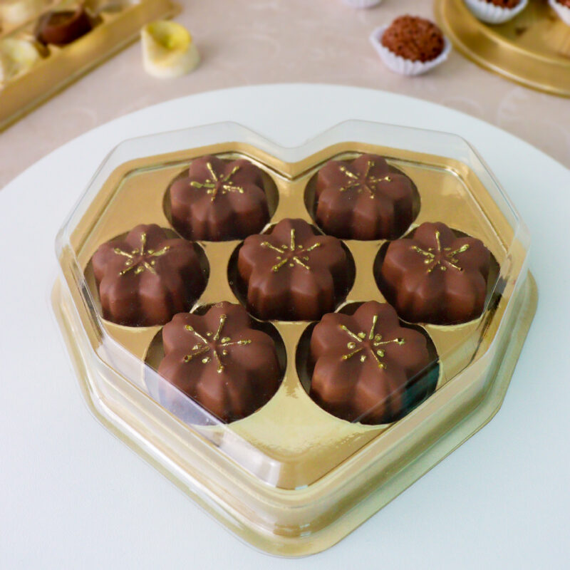 BOÎTE DE COULEUR. GIRON. Avec 7 cavités pour chocolats - Emb.10 BWB