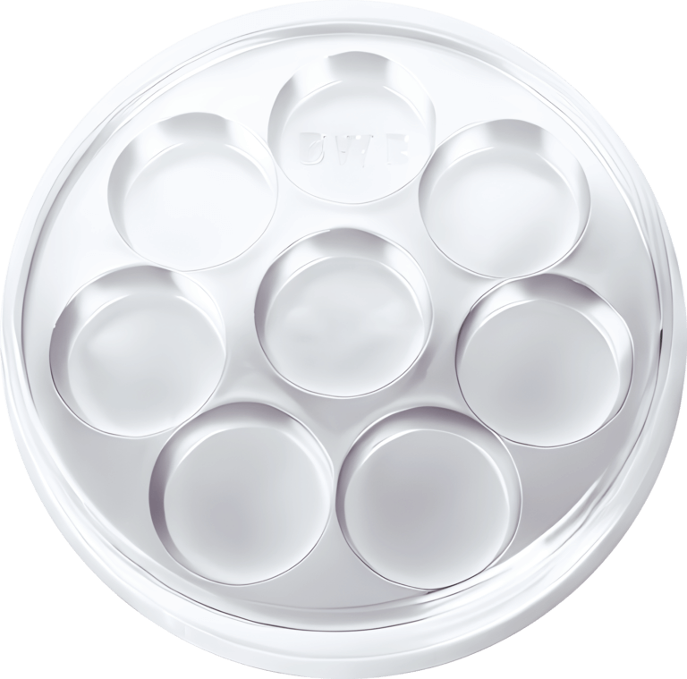 Boîte ronde blanche PP 8 chocolats Pack.10