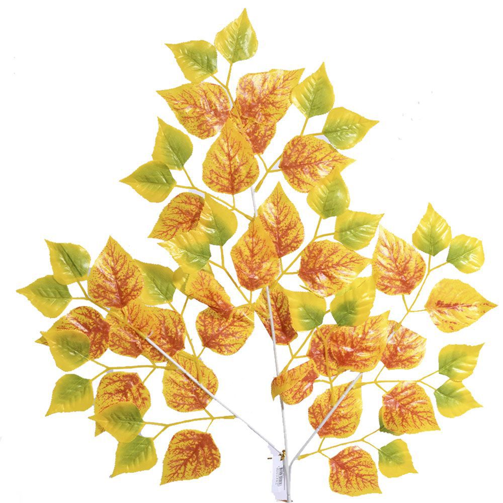 Feuille d’abricot 63cm