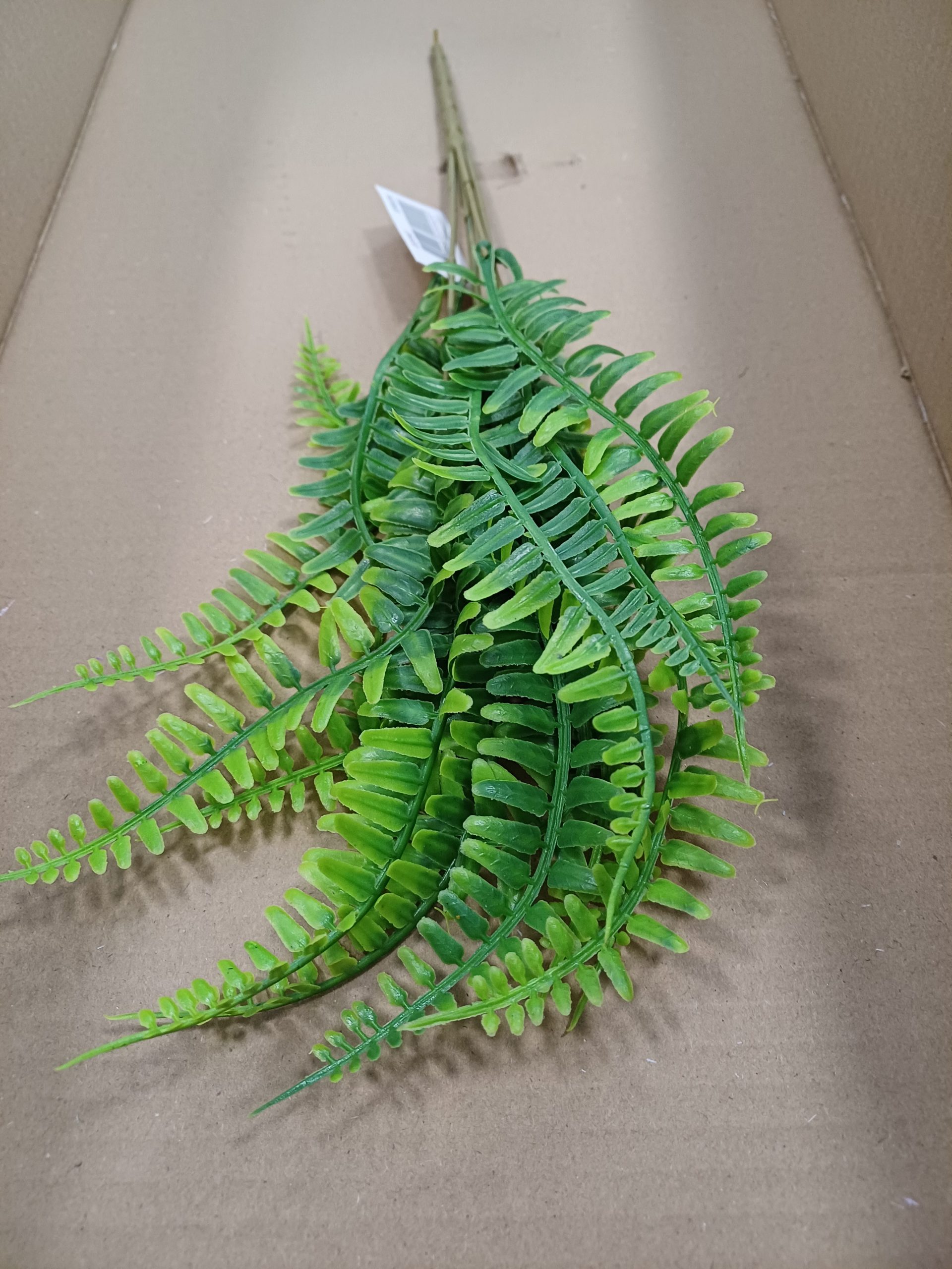 Branches de feuilles persanes 15 x 37 cm