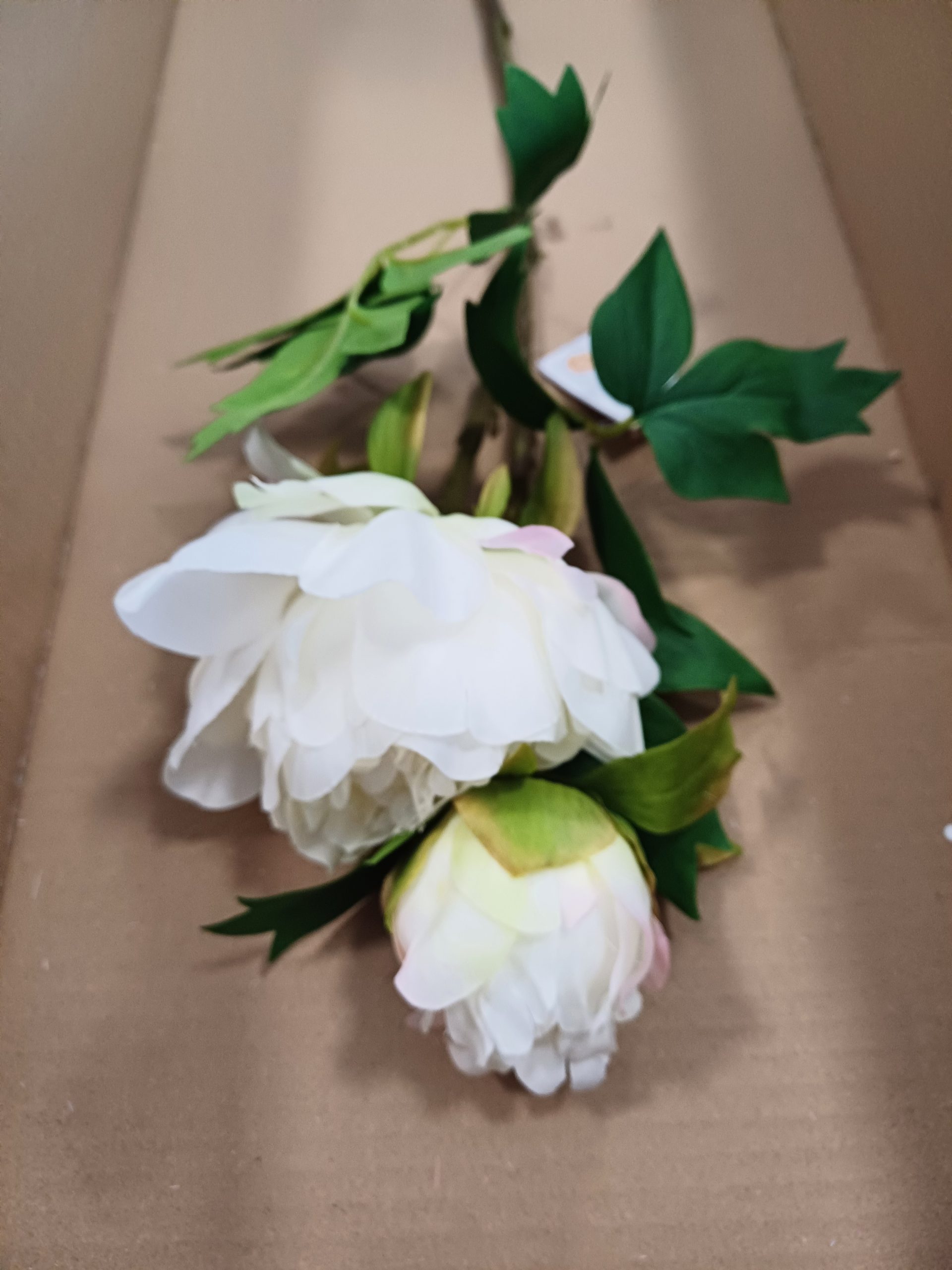 Tige de pivoine blanche C2/52cm