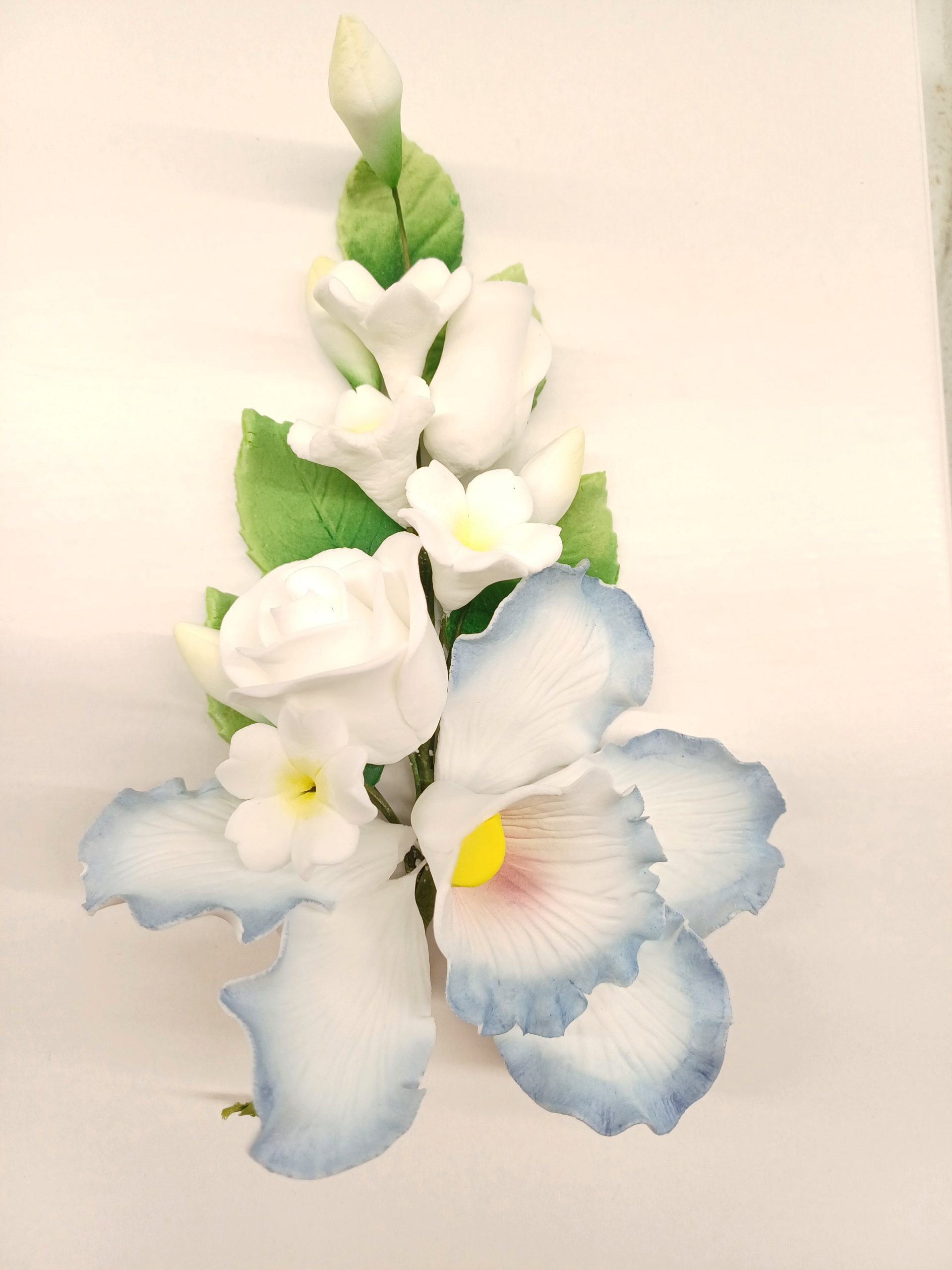 Orchidée rose avec branche de pilule 20cm