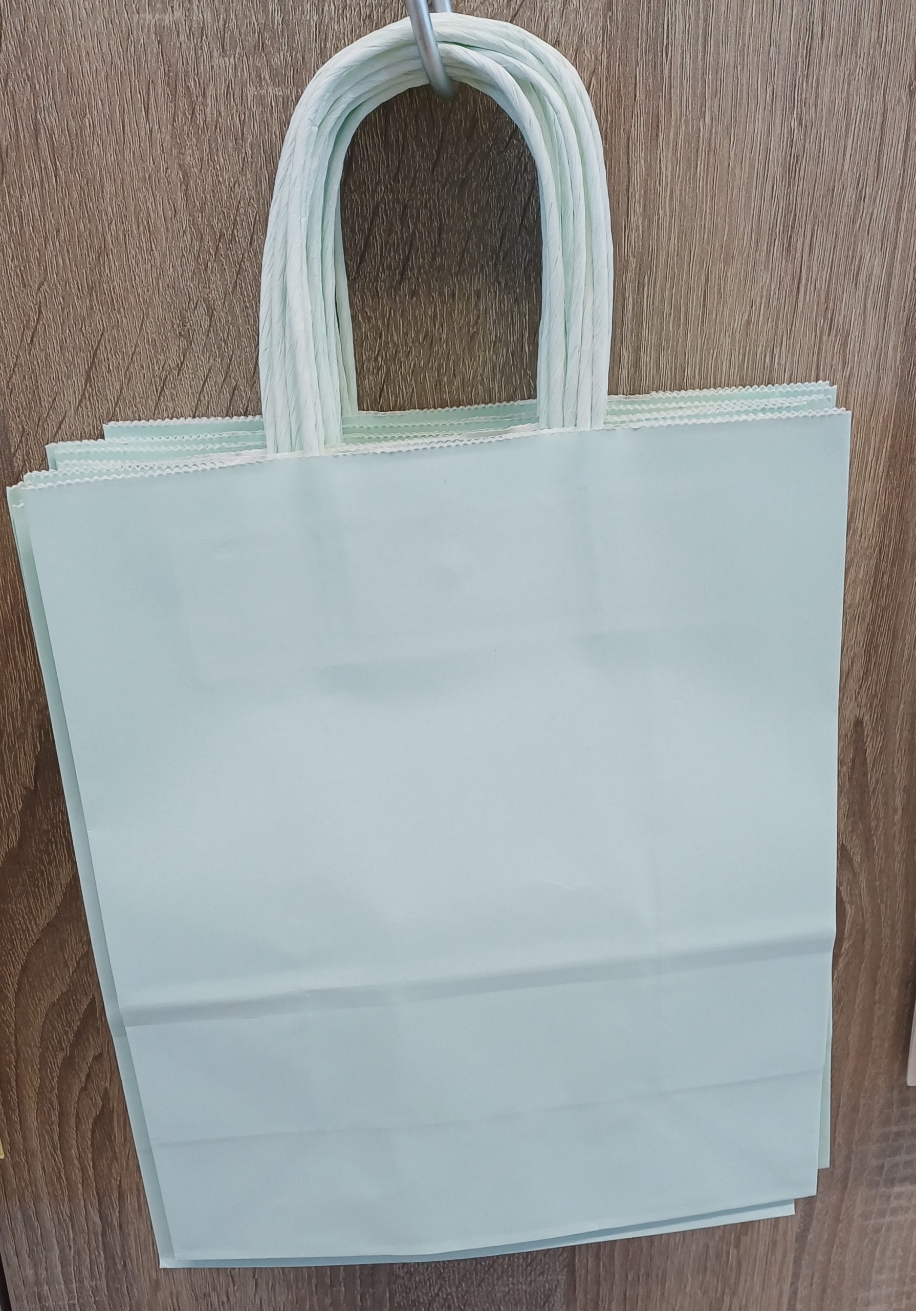 Sac en papier vert pastel 22x27x11cm