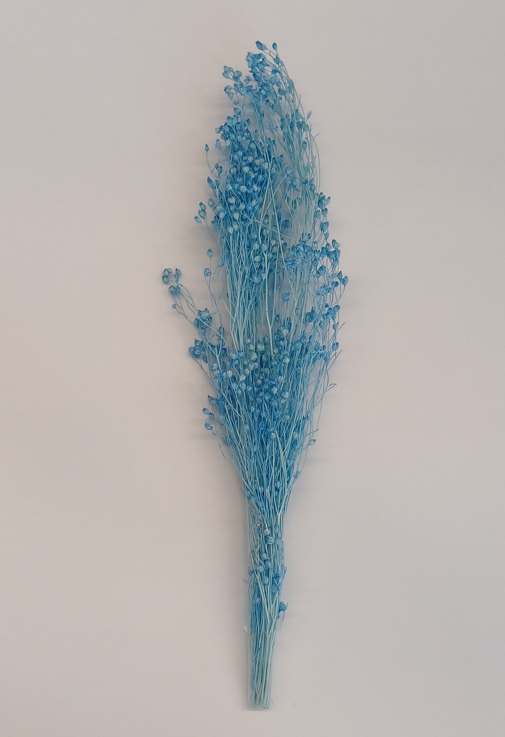 BALAIS À FLEURS SÉCHÉES Branche Bleue +-10g