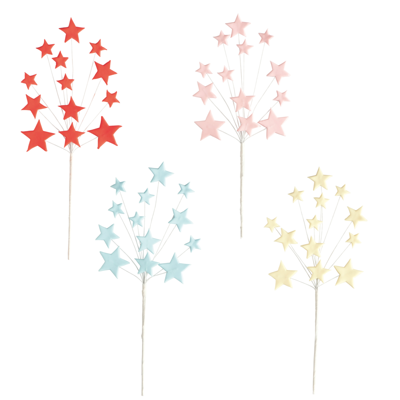 Etoiles en Sucre 26cm boîte de 12