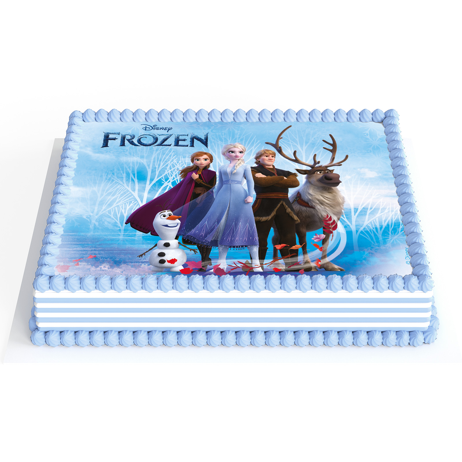 Disque comestible congelé A5 14,8 x 21 cm