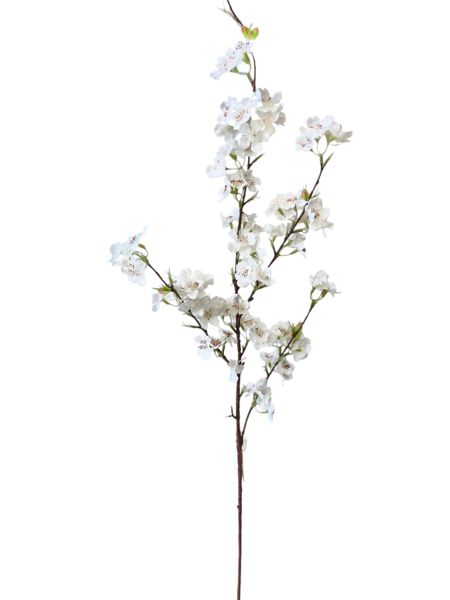 Tige de cerisier de couleur crème de 107 cm
