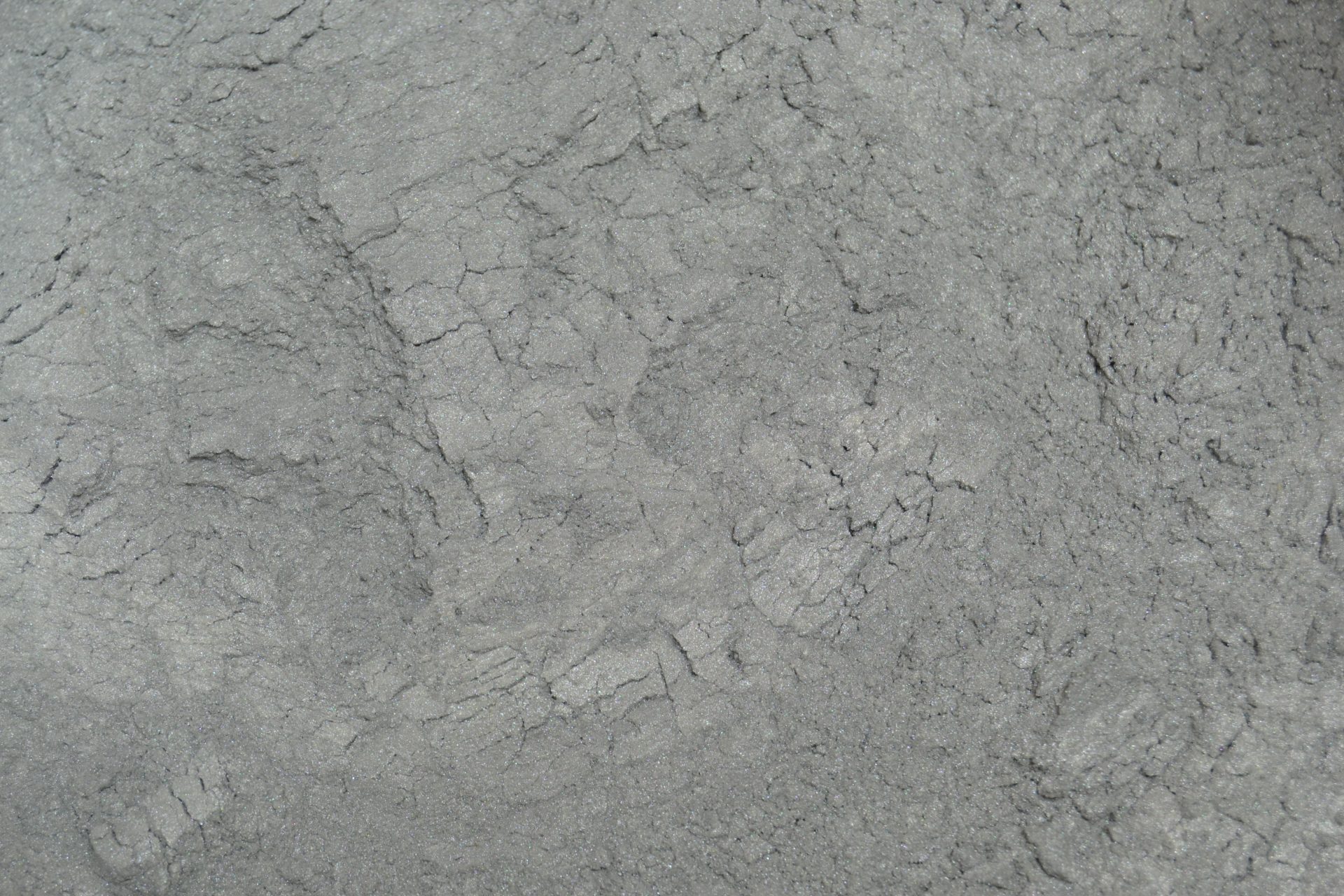 Argent brillant Colorant en poudre liposoluble AF 15g
