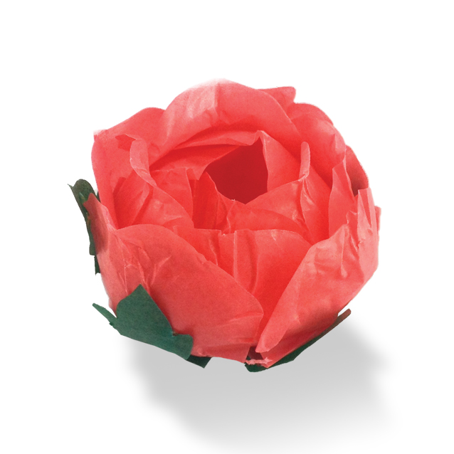 Forme de papier Red Sourhouse 24Unités.