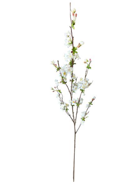 Crème de queue de cerise 133cm