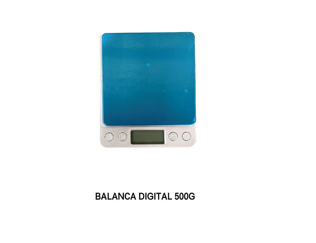 Balance numérique 500g