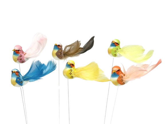 Boîte de 12 oiseaux de 6 couleurs de 9 cm