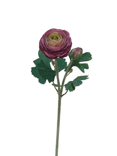 Pivoine Violette Hâle C/2 50cm