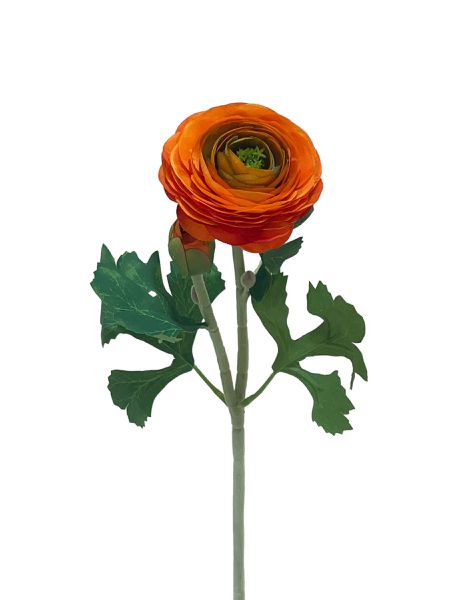Tige de pivoine orange C/2 50cm