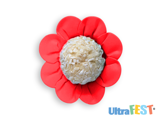 Moule à papier Red Daisy 50 unités.