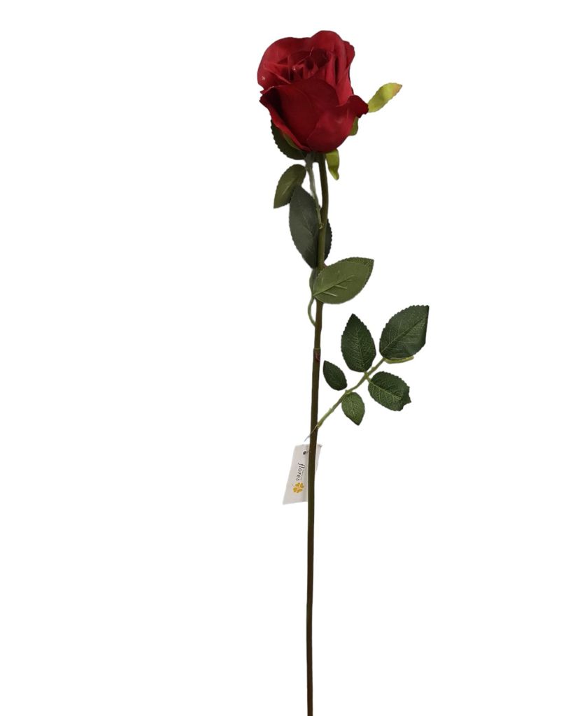 Tige de rose 60cm