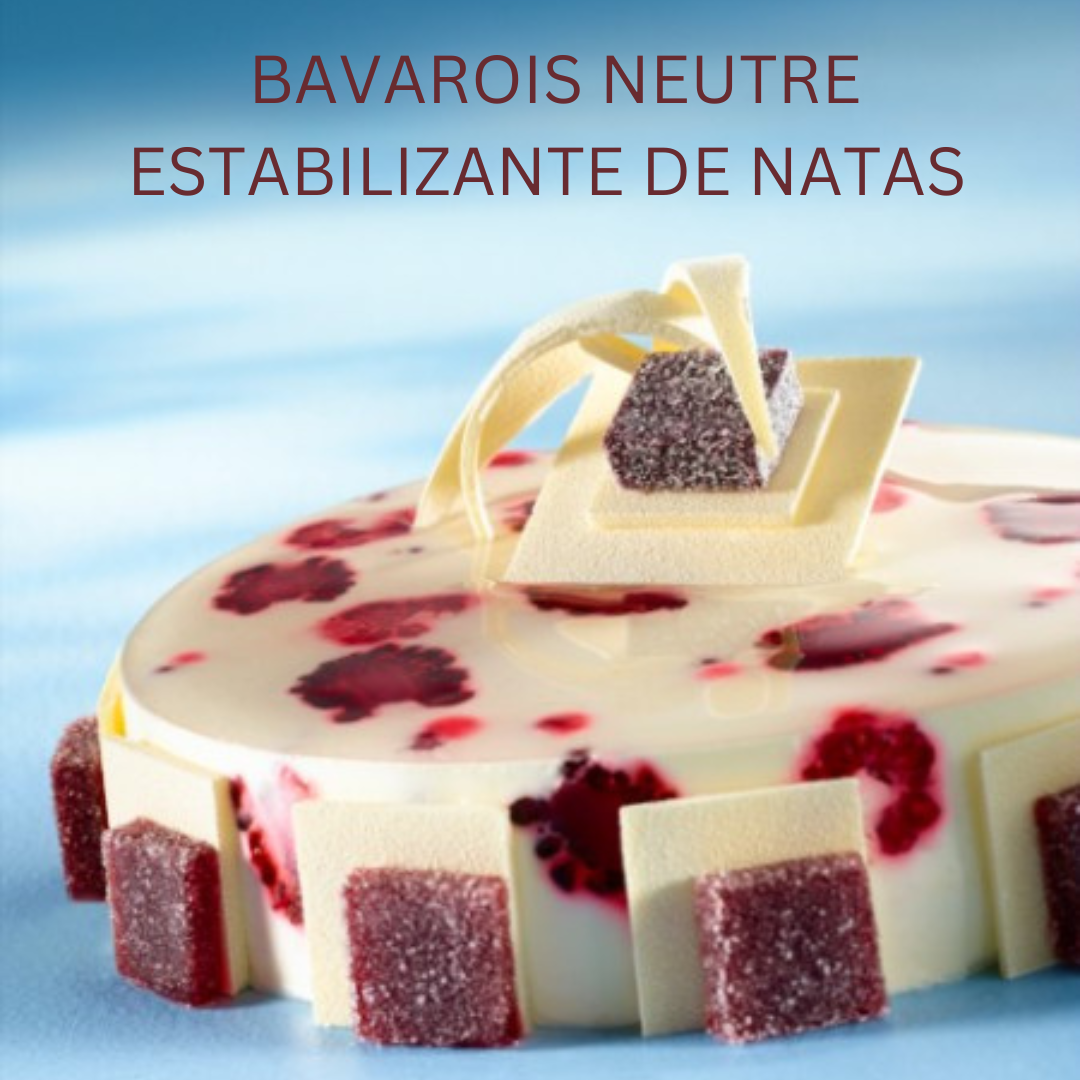 Bavorois Neutre - crème stabilisante 100g