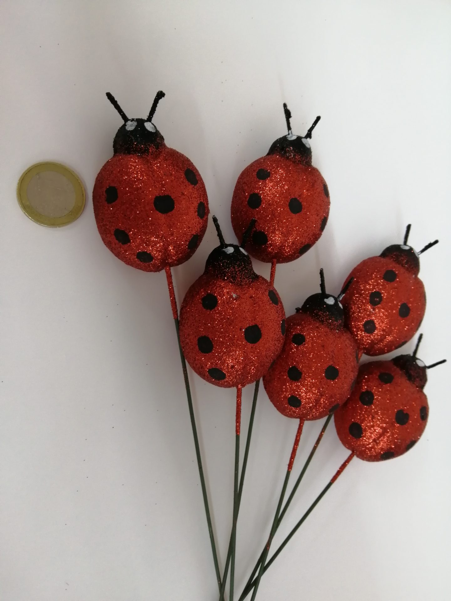 Coccinelle avec bec Sc.6