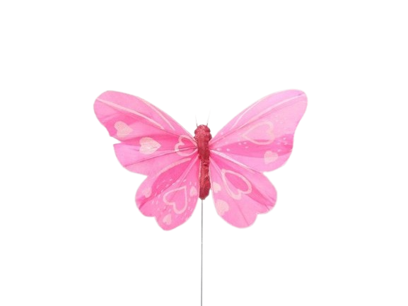 Papillon Rose Boîte de 10cm.12