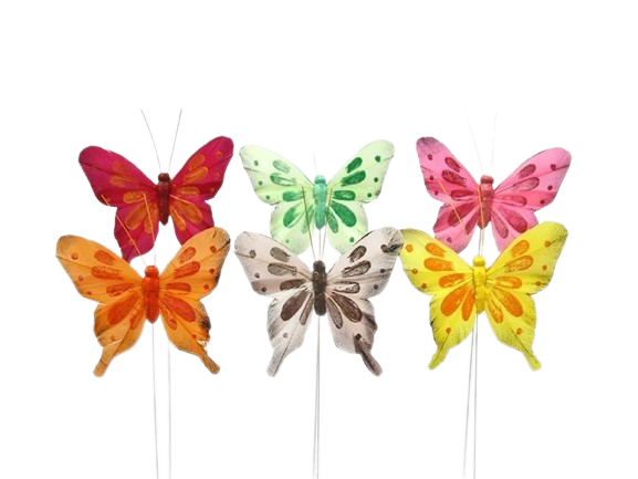Papillons 6 Couleurs 9 cm Boite.12