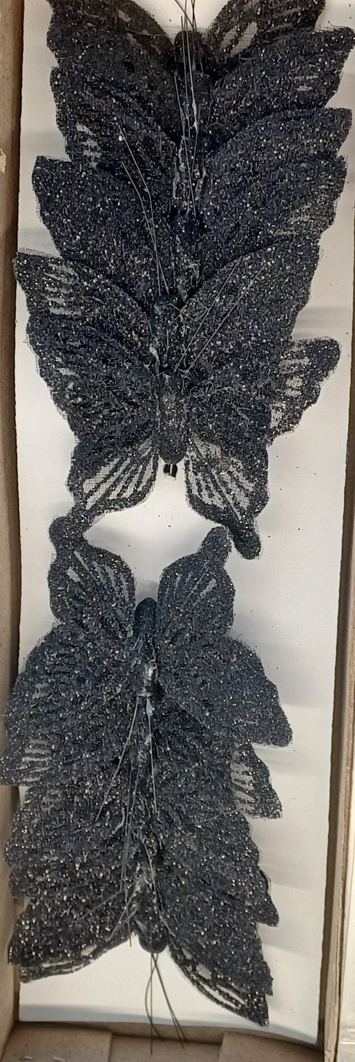 Boîte Papillon Noir 7cm.12