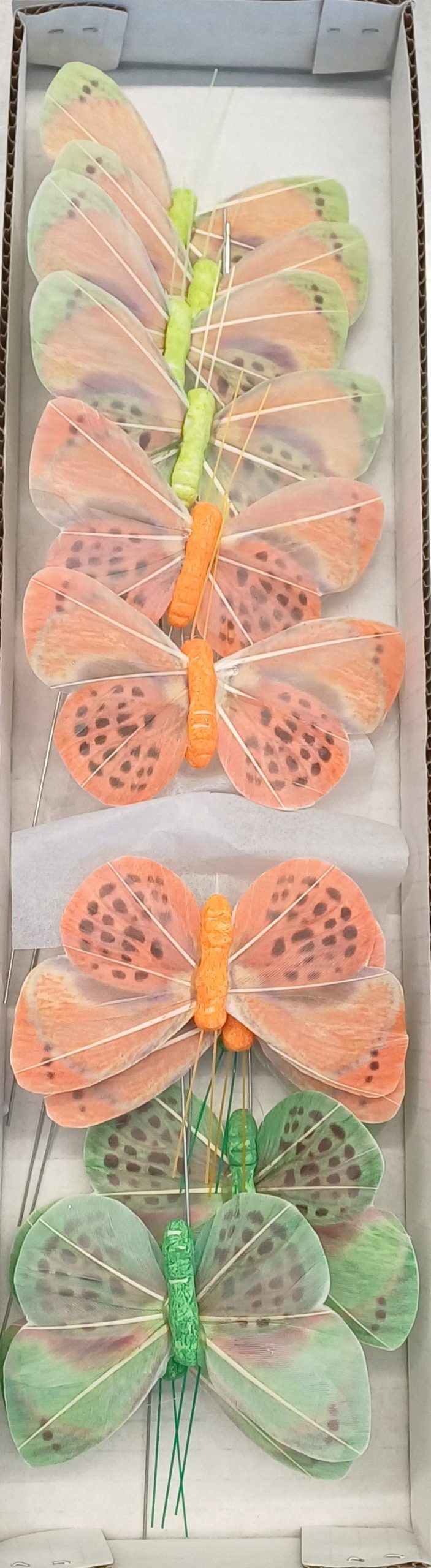 Papillon coloré 8cm Boîte 12