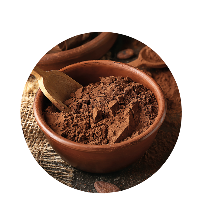 Poudre de cacao alcalinisée 10/12 % 1Kg