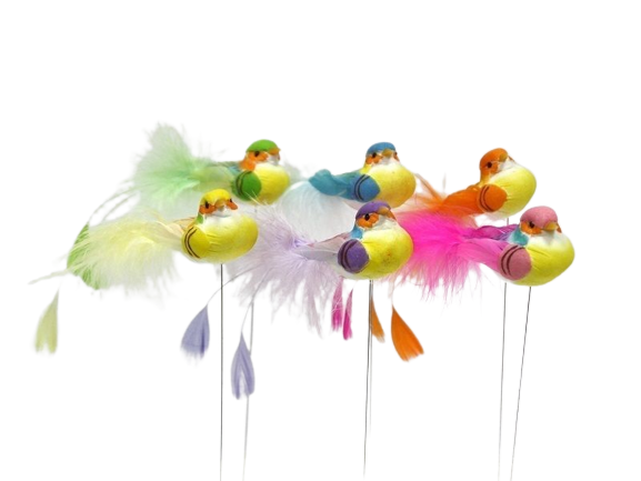 Oiseau coloré 12cm boîte.12