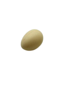 Oeufs bruns 6cm Sc.24