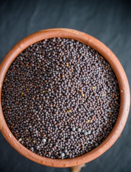 Graines de moutarde noire 50 g
