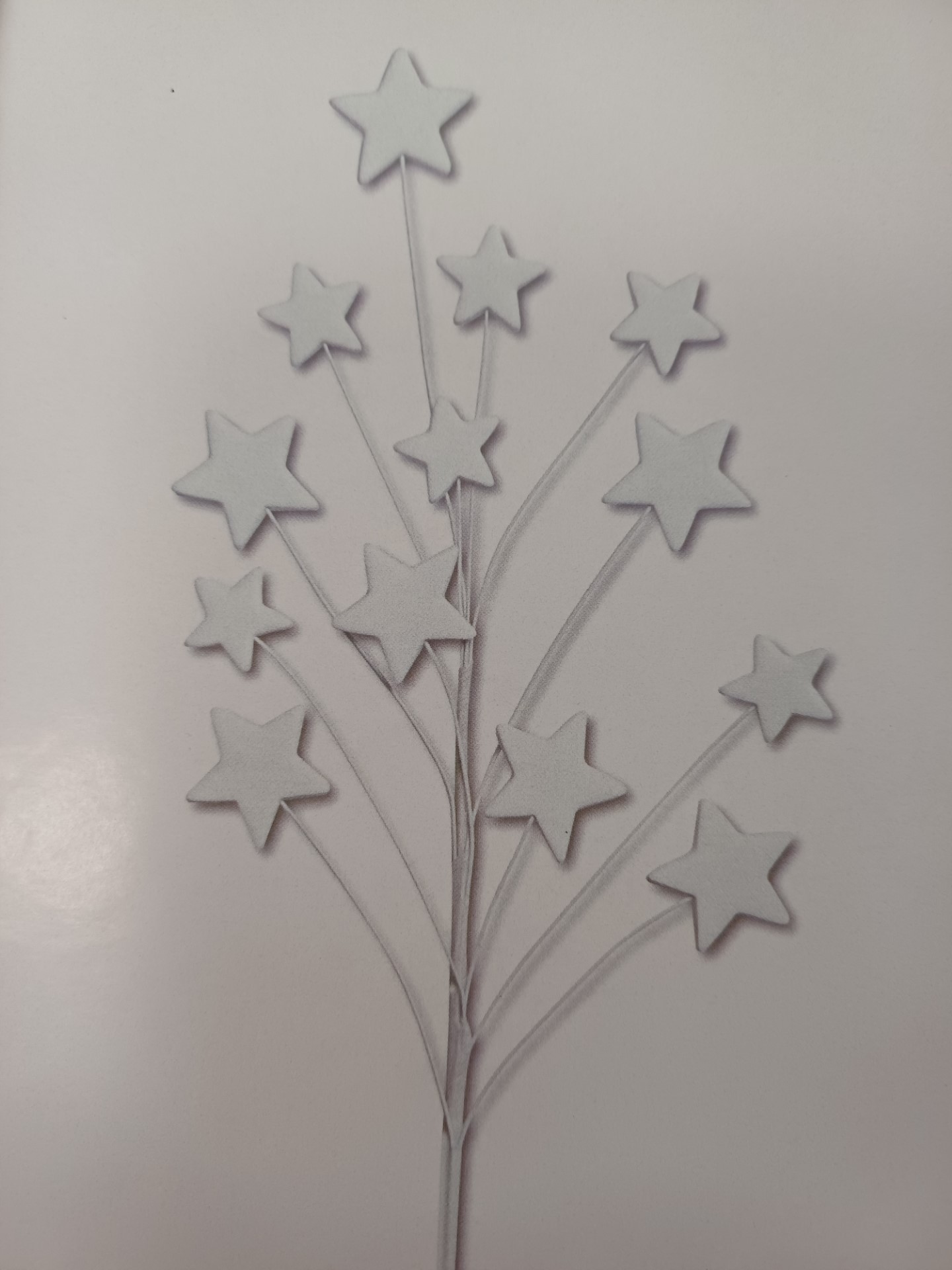 Brochettes d’étoiles
